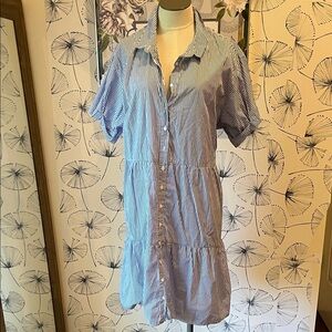 Nation  LTD Los Angeles L Blue and White Striped Button-Up Dress